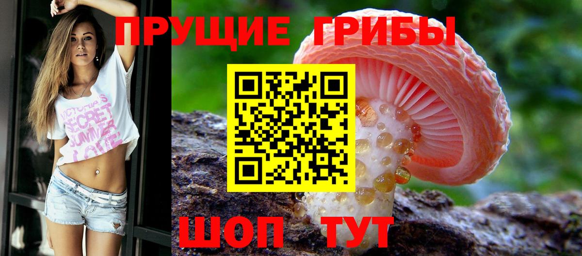 Галлюциногенные грибы Magic Shrooms  Псилоцибиновые грибы Magic Shrooms  сколько стоит  Абинск  Вход с VPN 