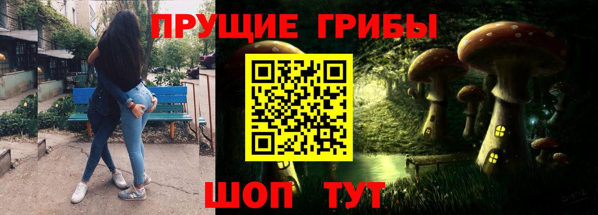 Псилоцибиновые грибы Psilocybine cubensis Абинск
