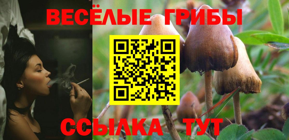Галлюциногенные грибы Cubensis  Псилоцибиновые грибы мухоморы  Абинск  Вход с VPN 