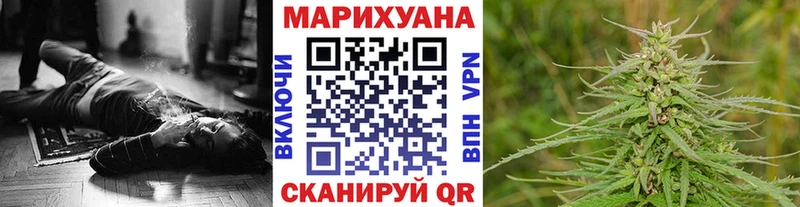 Канабис план где купить это формула Абинск